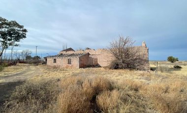 Finca con olivos