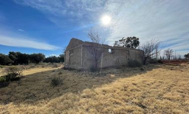 Finca con olivos