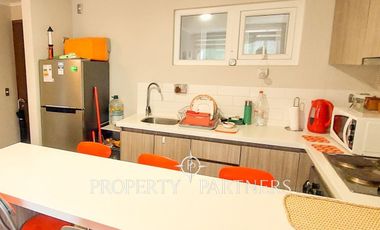 Moderno departamento en Pucón camino al volcán