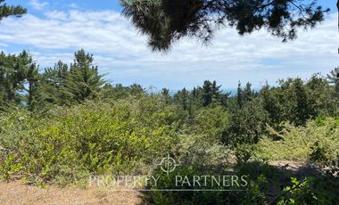 Puertecillo, Espectacular terreno en Punta Puertecillo