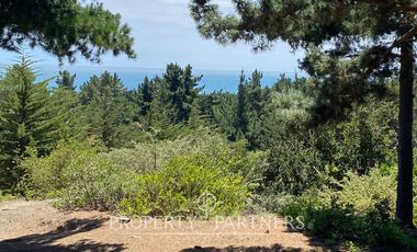 Puertecillo, Espectacular terreno en Punta Puertecillo