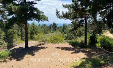 Puertecillo, Espectacular terreno en Punta Puertecillo