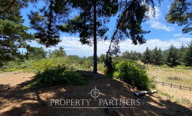 Puertecillo, Espectacular terreno en Punta Puertecillo