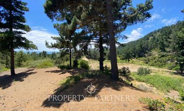 Puertecillo, Espectacular terreno en Punta Puertecillo