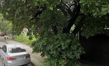 Terreno en renta en Av. Los Pinos