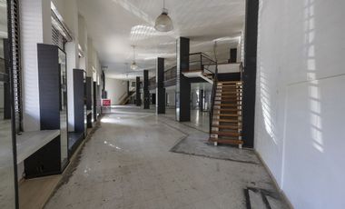 Local comercial en Miguel A. Quevedo en renta