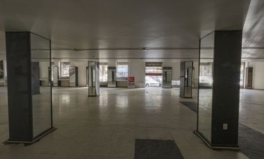 Local comercial en Miguel A. Quevedo en renta