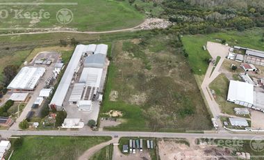 Lote Industrial de 3,4 has en venta en Florencio Varela