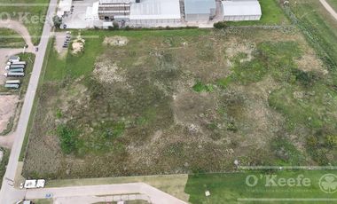 Lote Industrial de 3,4 has en venta en Florencio Varela