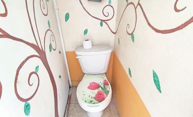 Venta De Edificio En Chicoloapan