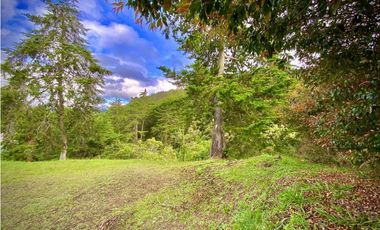 Venta Lote Parcelacion Imponenete vista El Retiro