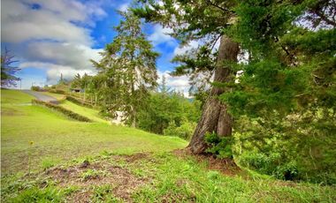 Venta Lote Parcelacion Imponenete vista El Retiro