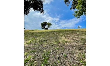 GRAN OPORTUNIDAD DE INVERSION! SE VENDE LOTE SEMI INCLINADO VIA ALCAL