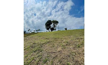 GRAN OPORTUNIDAD DE INVERSION! SE VENDE LOTE SEMI INCLINADO VIA ALCAL