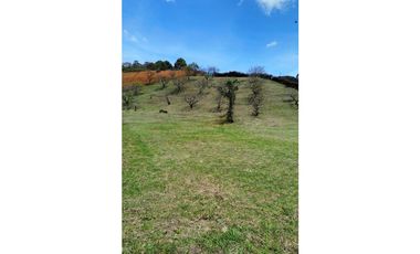 SE VENDE LOTE EN LA CEJA RESERVA SILVESTRE TOPOGRAFA MIXTA PENDIENTE