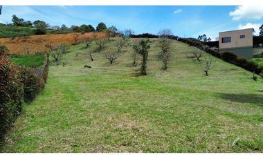SE VENDE LOTE EN LA CEJA RESERVA SILVESTRE TOPOGRAFA MIXTA PENDIENTE