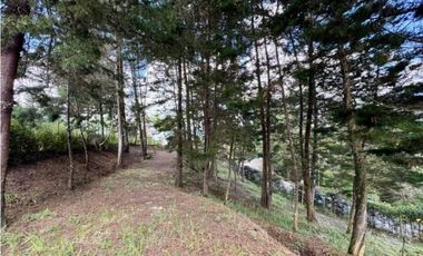 casa finca campestre en venta Guarne, sector variante aeropuerto