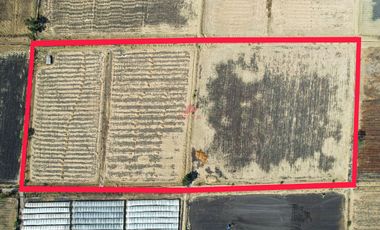Terreno en Venta – Ribera de Chapala, Jalisco