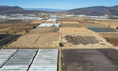 Terreno en Venta – Ribera de Chapala, Jalisco