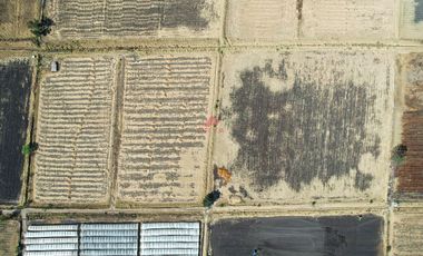 Terreno en Venta – Ribera de Chapala, Jalisco