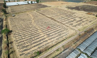 Terreno en Venta – Ribera de Chapala, Jalisco