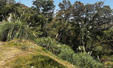 Venta terreno Sayavedra