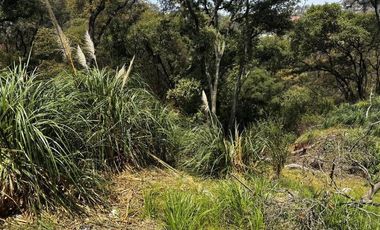 Venta terreno Sayavedra