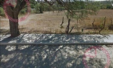 TERRENO DE UNA HECTÁREA EN VENTA, CALVILLITO, AGS.