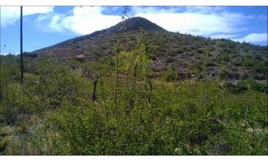 TERRENO LOS ZORZALES POTRERILLOS