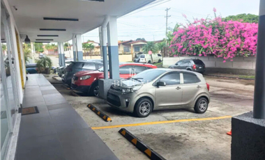 ALQUILO LOCAL COMERCIAL EN BRISAS DEL GOLF PB (20)