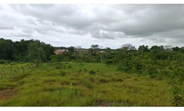 VENTA DE TERRENO EN PACORA 7HA PARA PROYECTO RESIDENCIAL O COMERCIAL