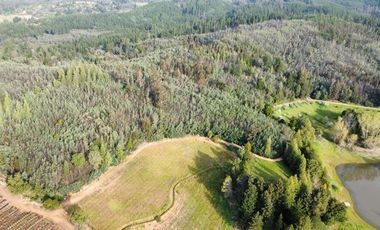 Sitio en Venta en San Ignacio de Palomares