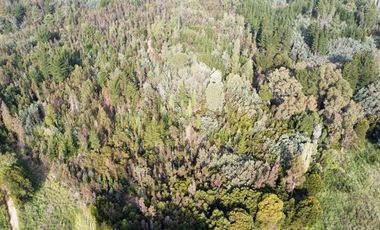 Sitio en Venta en San Ignacio de Palomares