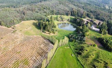 Sitio en Venta en San Ignacio de Palomares