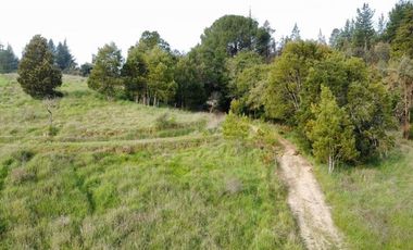 Sitio en Venta en San Ignacio de Palomares