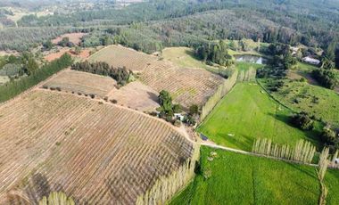 Sitio en Venta en San Ignacio de Palomares