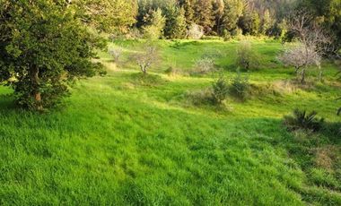 Sitio en Venta en San Ignacio de Palomares