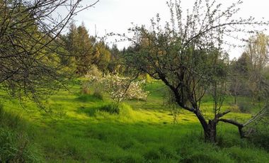 Sitio en Venta en San Ignacio de Palomares
