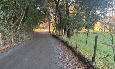 Sitio en Venta en San Ignacio de Palomares