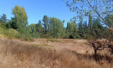 Sitio en Venta en camino a Florida