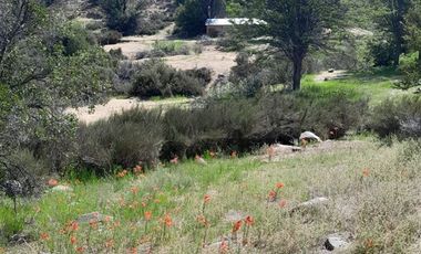 Sitio en Venta en Parcelación: Hijuela / El Llano de Caleu
