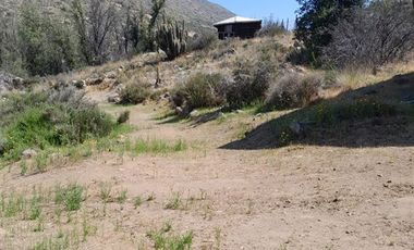 Sitio en Venta en Parcelación: Hijuela / El Llano de Caleu