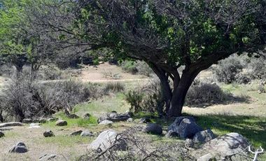 Sitio en Venta en Parcelación: Hijuela / El Llano de Caleu