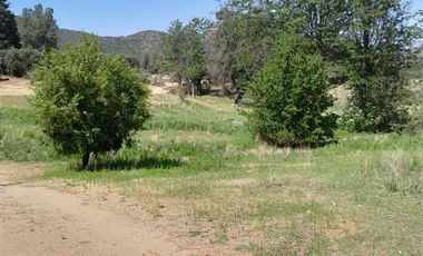 Sitio en Venta en Parcelación: Hijuela / El Llano de Caleu