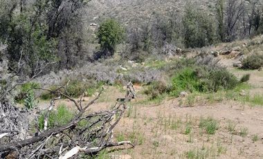 Sitio en Venta en Parcelación: Hijuela / El Llano de Caleu