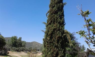 Sitio en Venta en Parcelación: Hijuela / El Llano de Caleu
