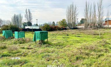 Casa en Venta en Venta Parcela de Terreno Plano 6.235 m2, Lomas del Aguila, Champa, Paine