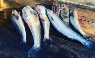 Sitio en Venta en Isla Laitec