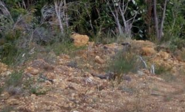 Sitio en Venta en Ruta V 488