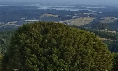 Sitio en Venta en Ruta V 488